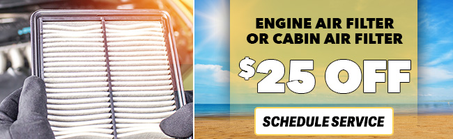 Engine Air Filter or cabin air filter