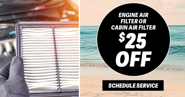 Engine Air Filter or cabin air filter