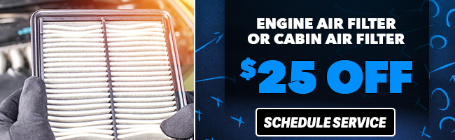 Engine Air Filter or cabin air filter