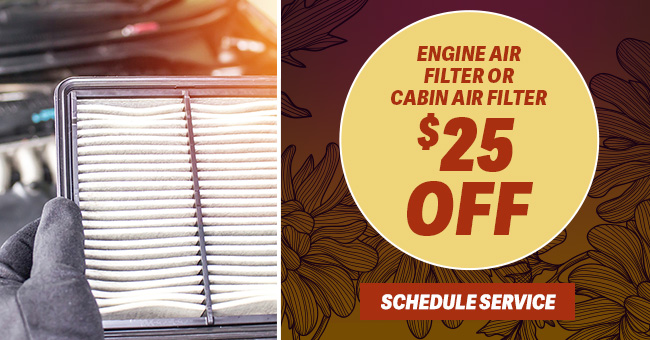 Engine Air Filter or cabin air filter