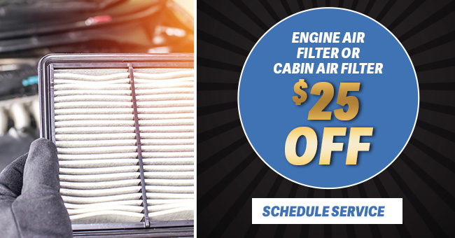 Engine Air Filter or cabin air filter