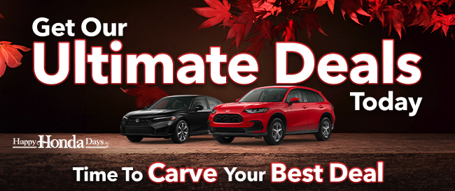 Get our ultimate deals today