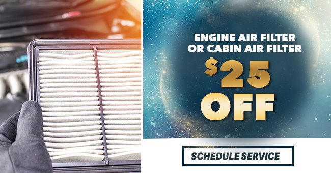 Engine Air Filter or cabin air filter