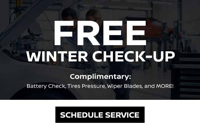 Free winter checkup