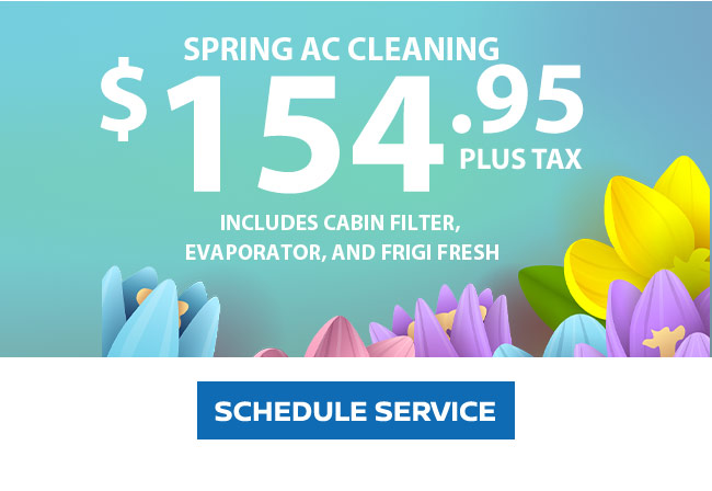 spring AC cleaning offer